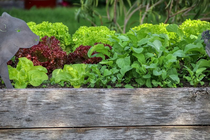 Creating Raised Beds